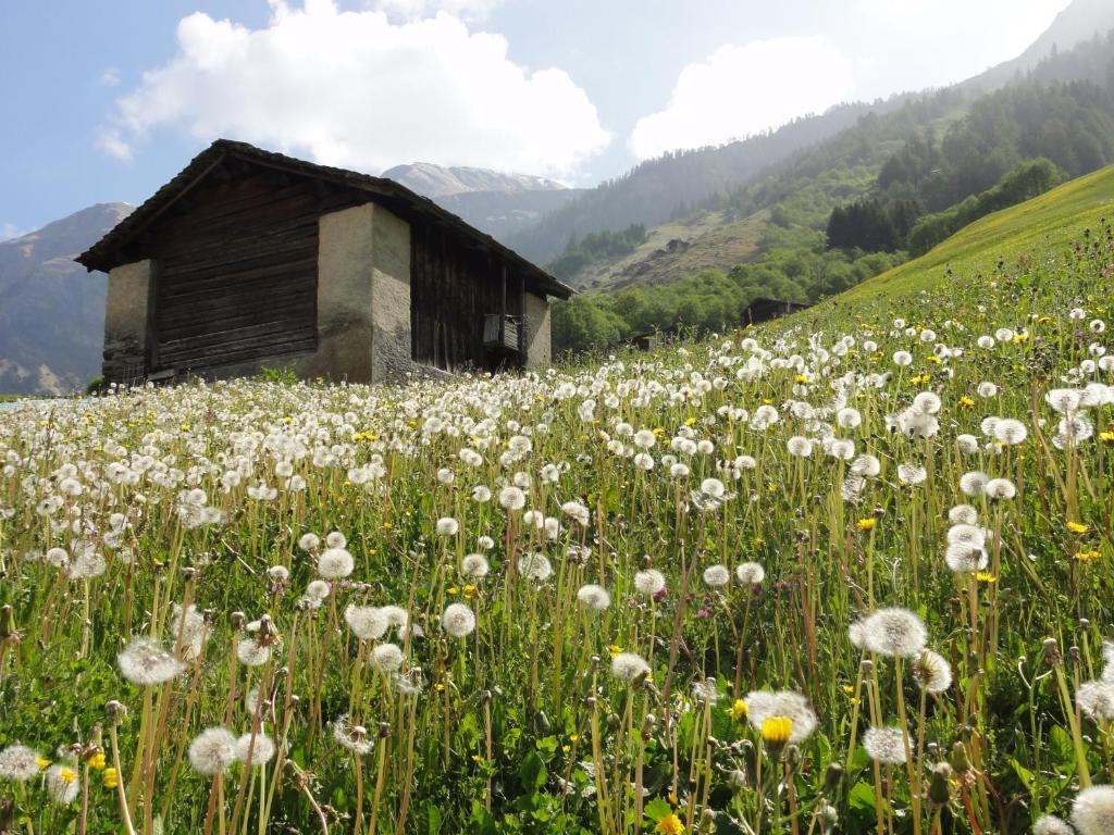 Ferienwohnung Mura Vals Esterno foto